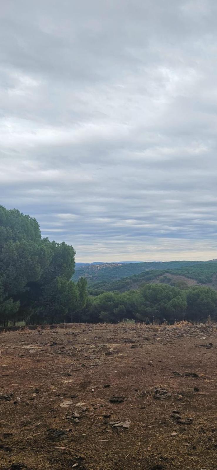 Alojamiento El Camarin Baños de la Encina Exterior foto