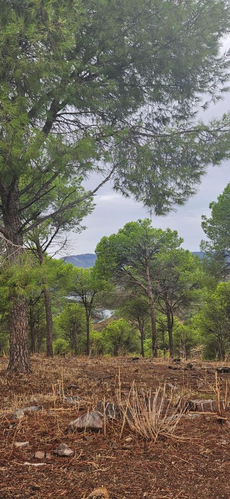 Alojamiento El Camarin Baños de la Encina Exterior foto