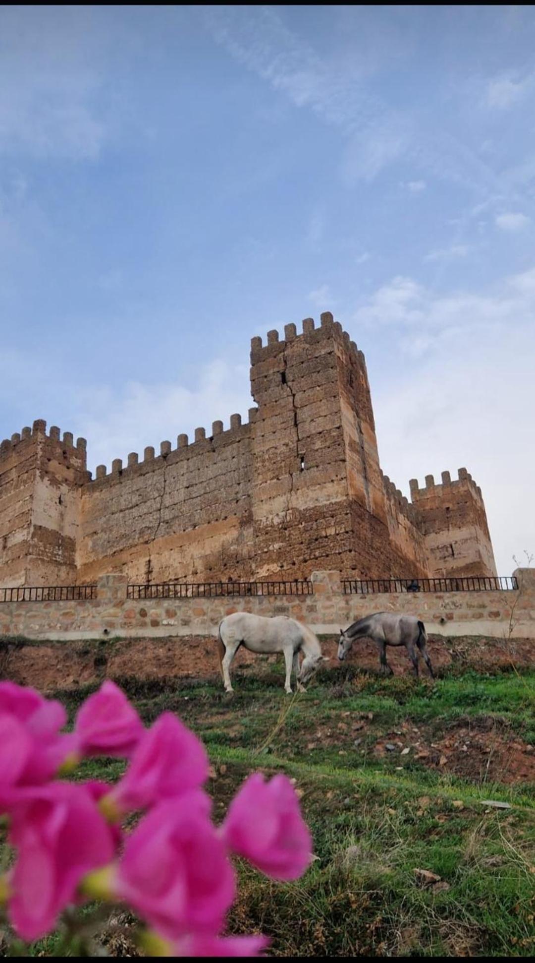 Alojamiento El Camarin Baños de la Encina Exterior foto